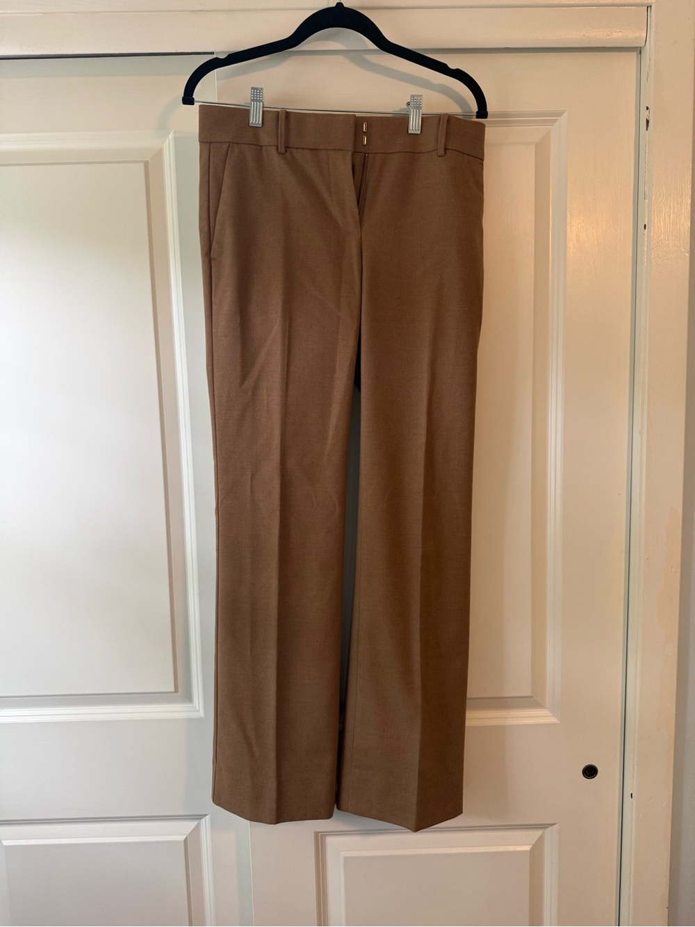 Ann Taylor Tan Dress Pants - Devin Fit Size 2